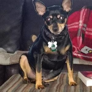 Meet your Posher, Lori